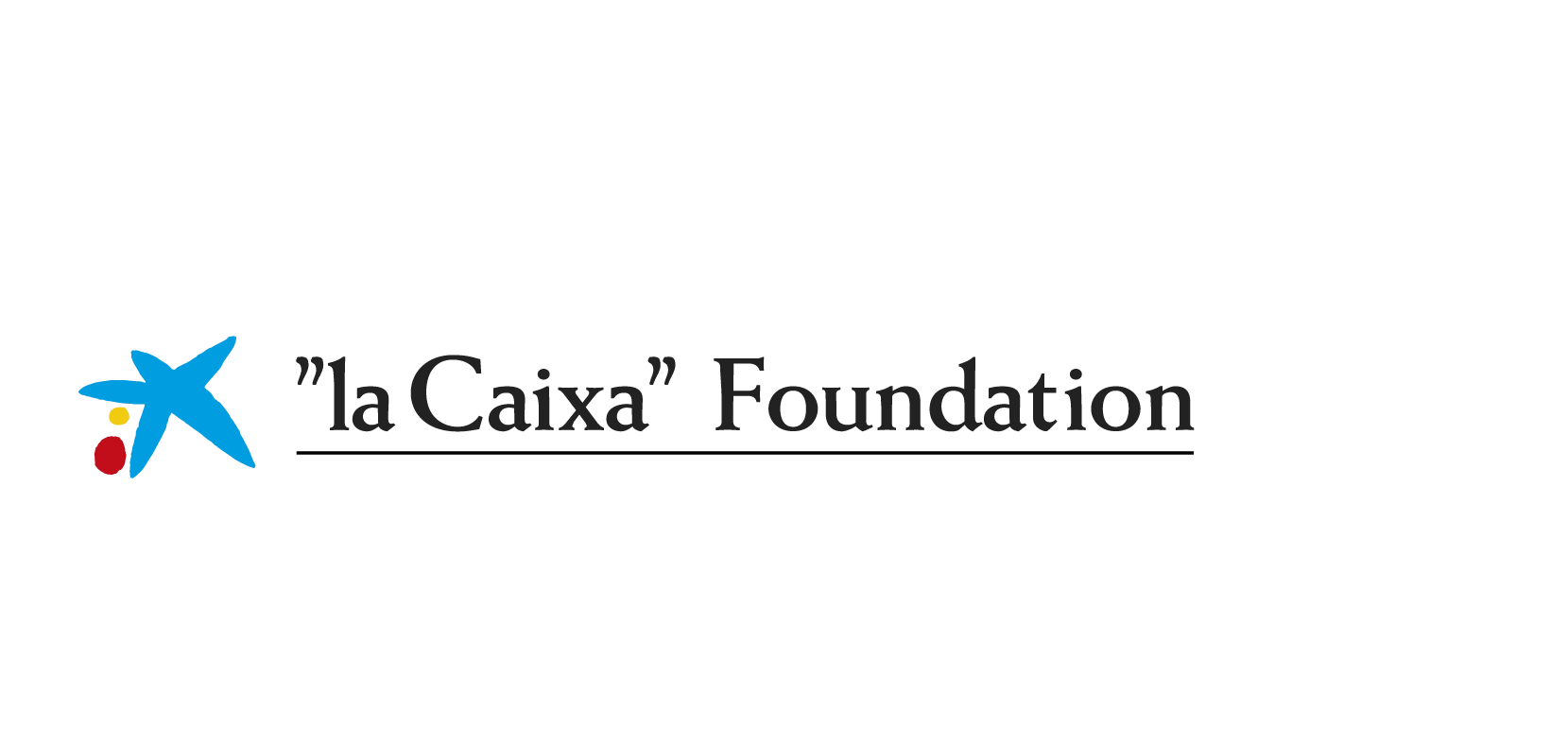 logo-flc-foundation